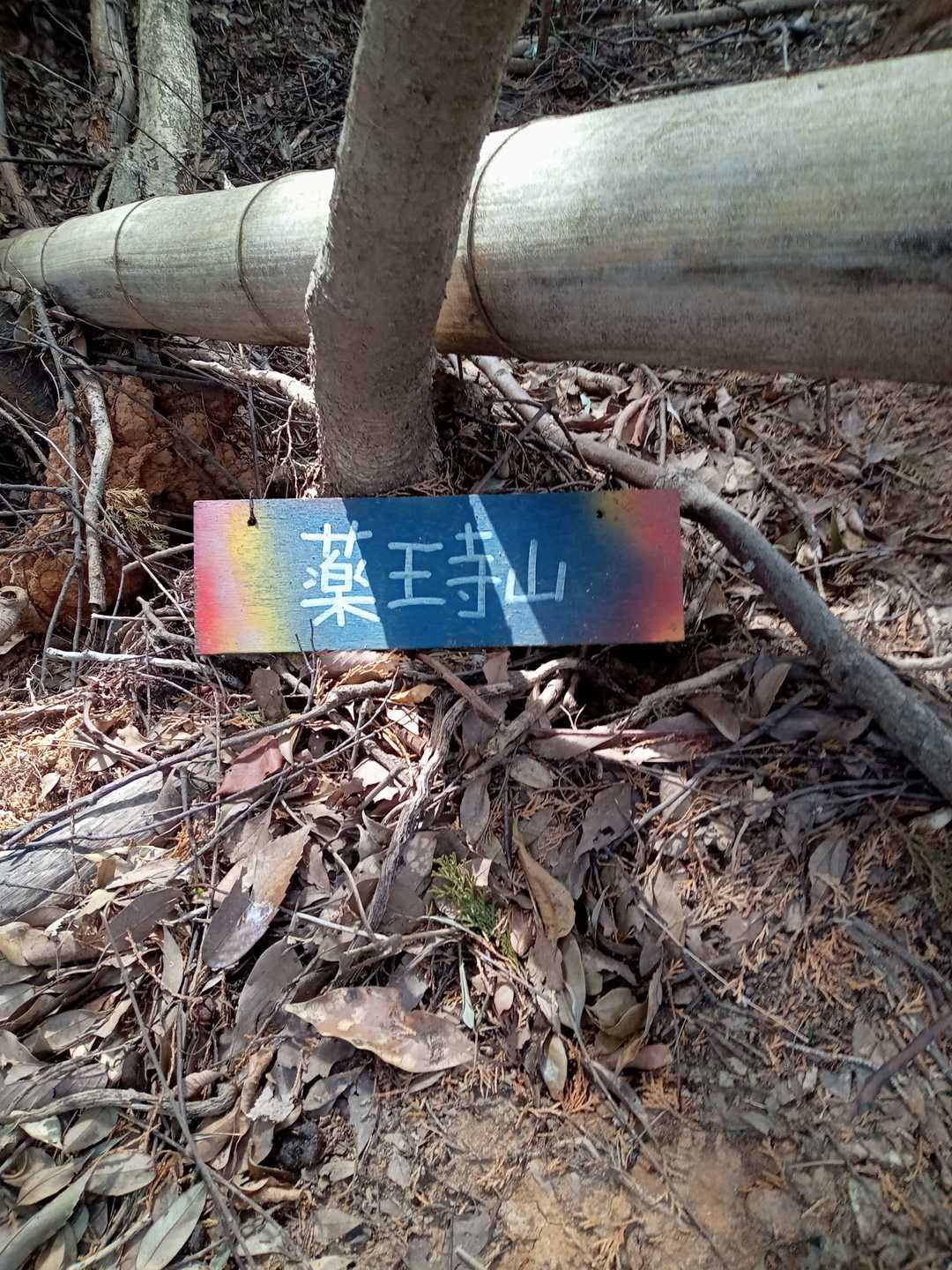 薬王寺山の写真