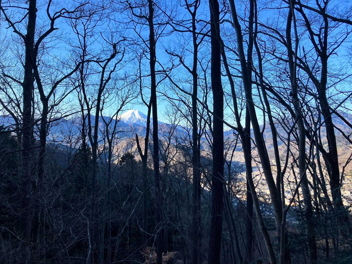 ここで初めて富士山🏔が見え始める。