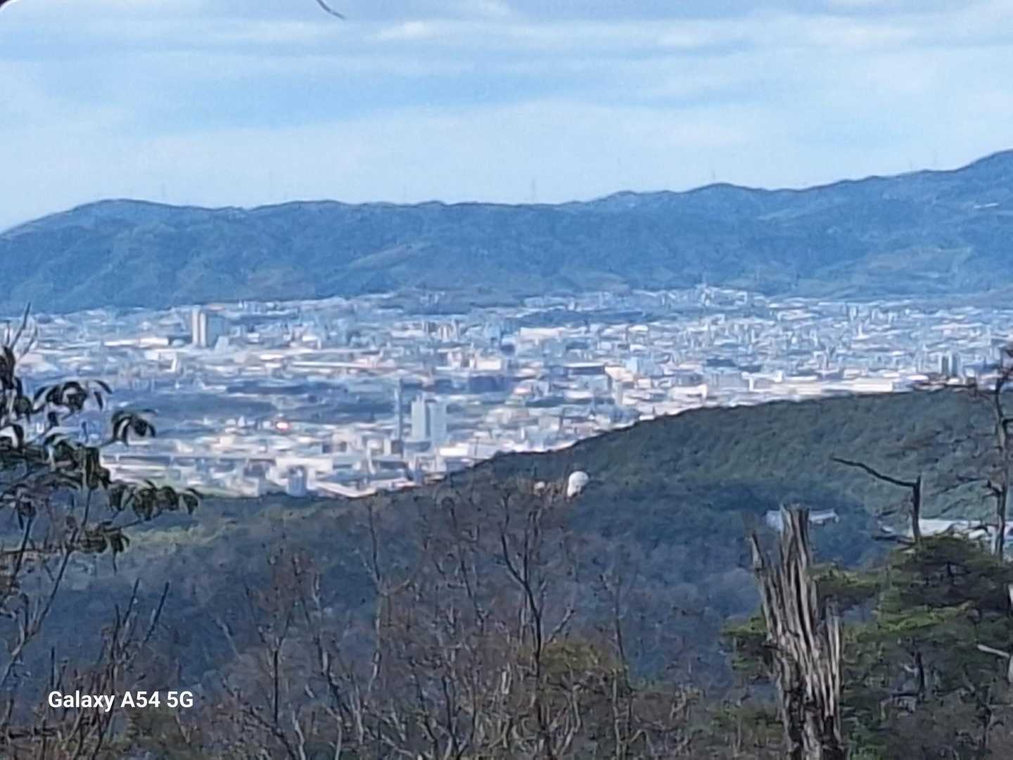 長岡京方面かな📸