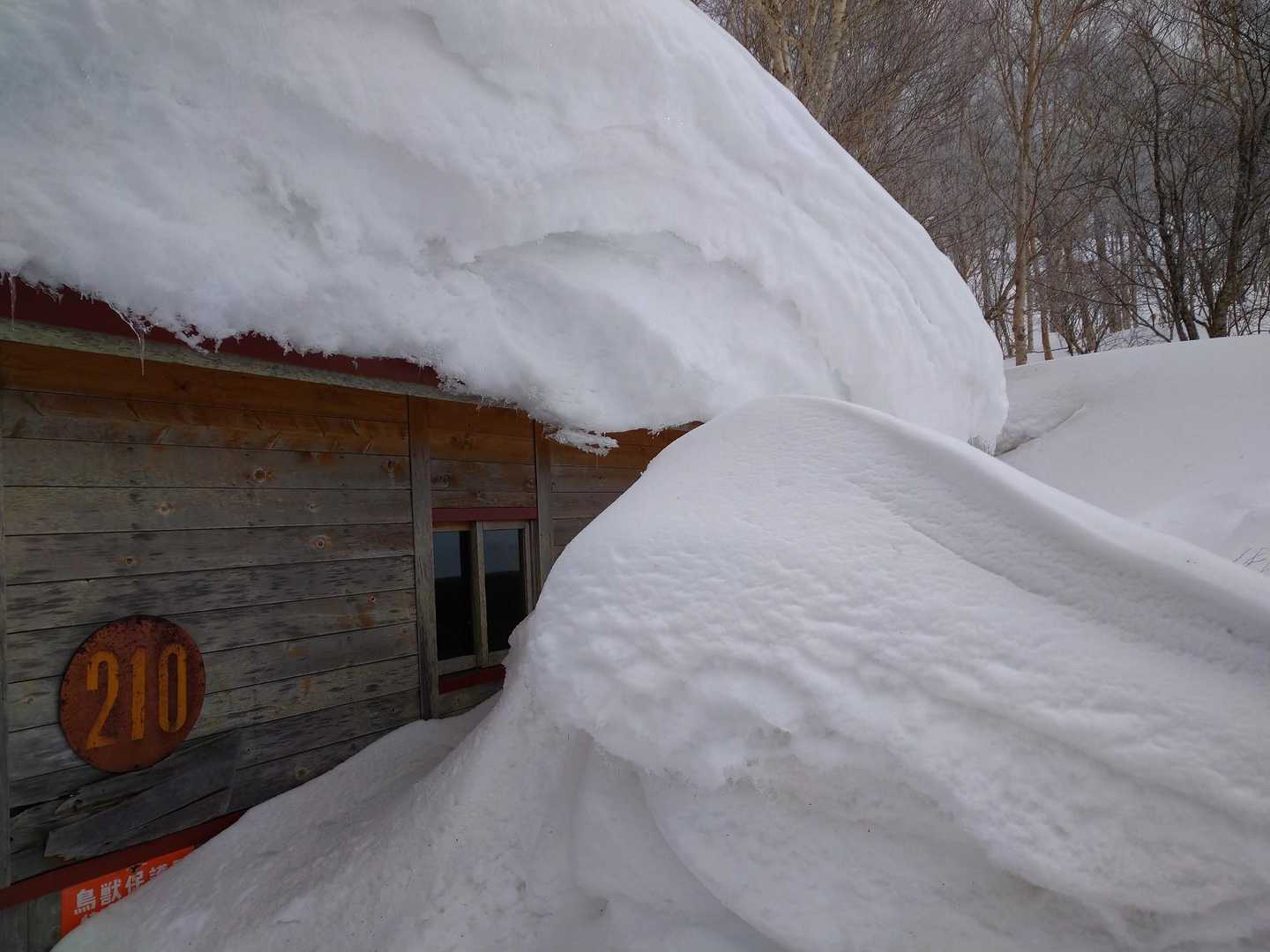 避難小屋到着🏠
