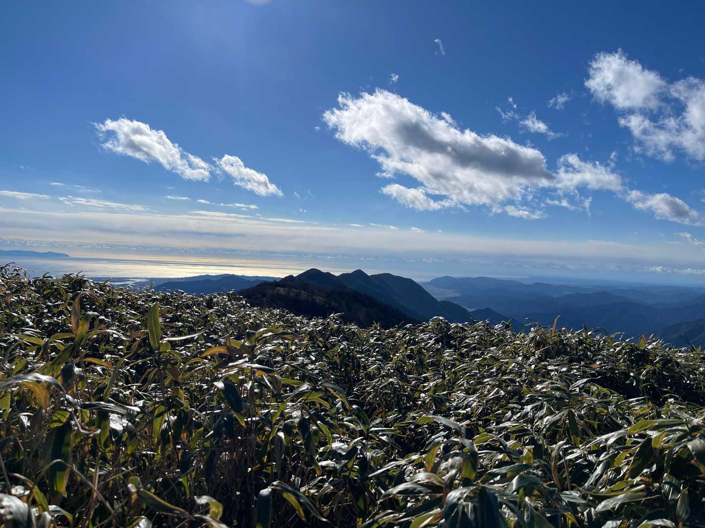 真富士山から竜爪山に連なる稜線
でも、藪が高くて行く気になれない（笑）