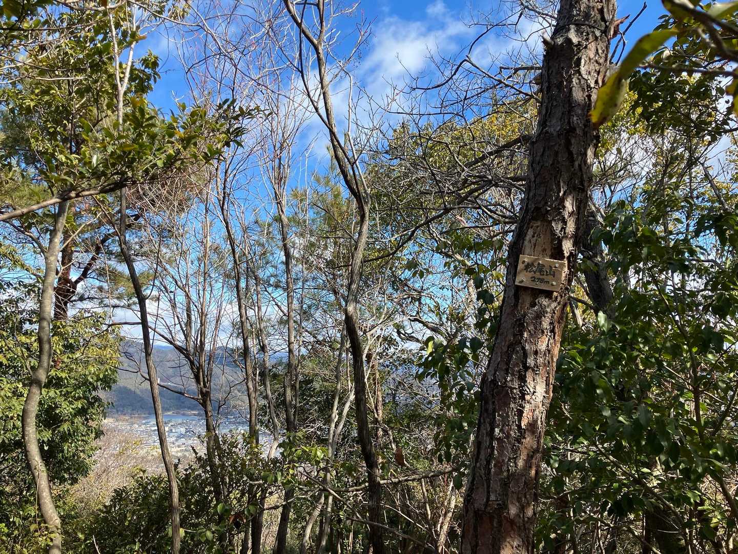松尾山山頂
