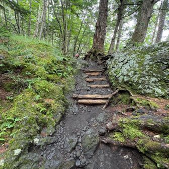 まずは樹林帯から