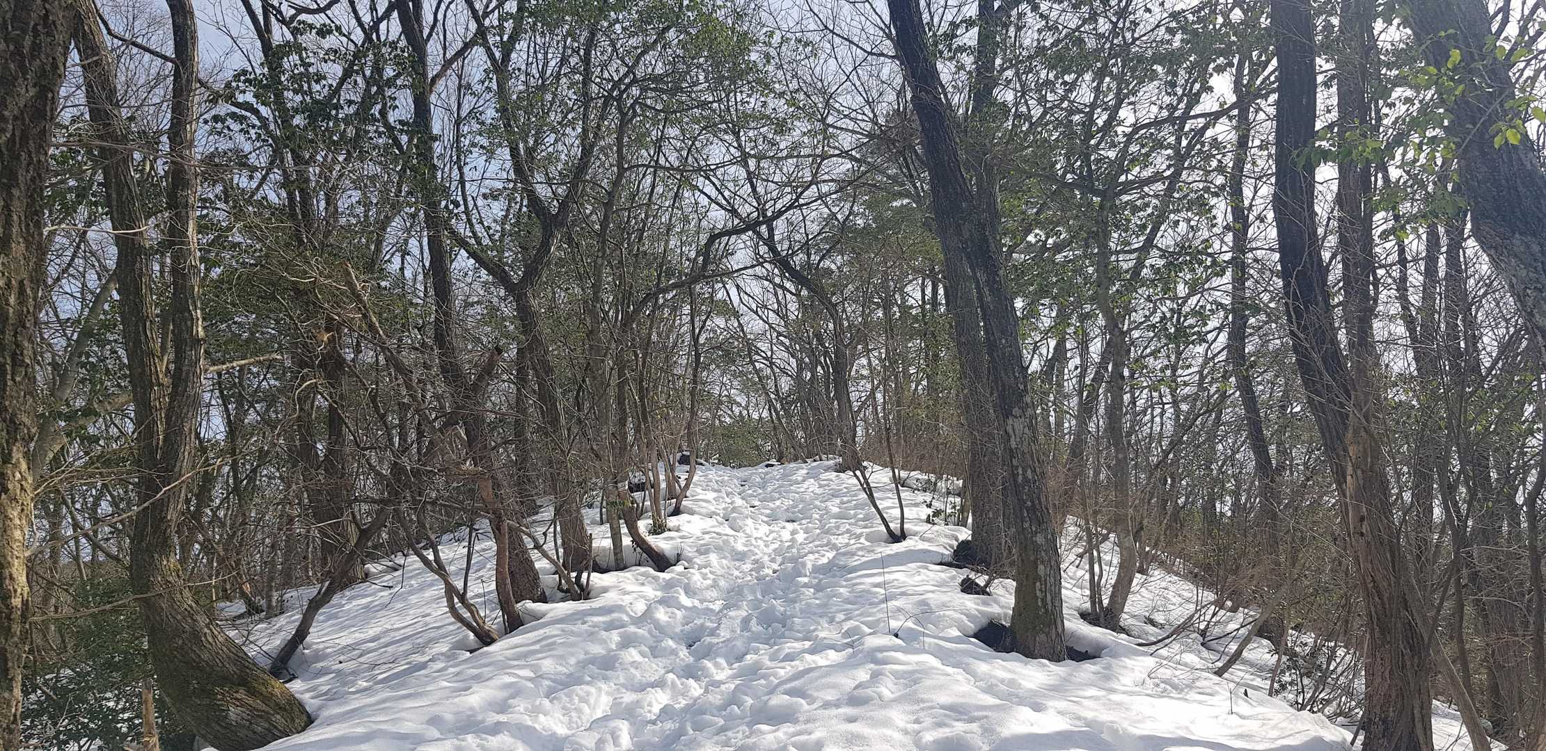 遣水観音山 周回コースの写真