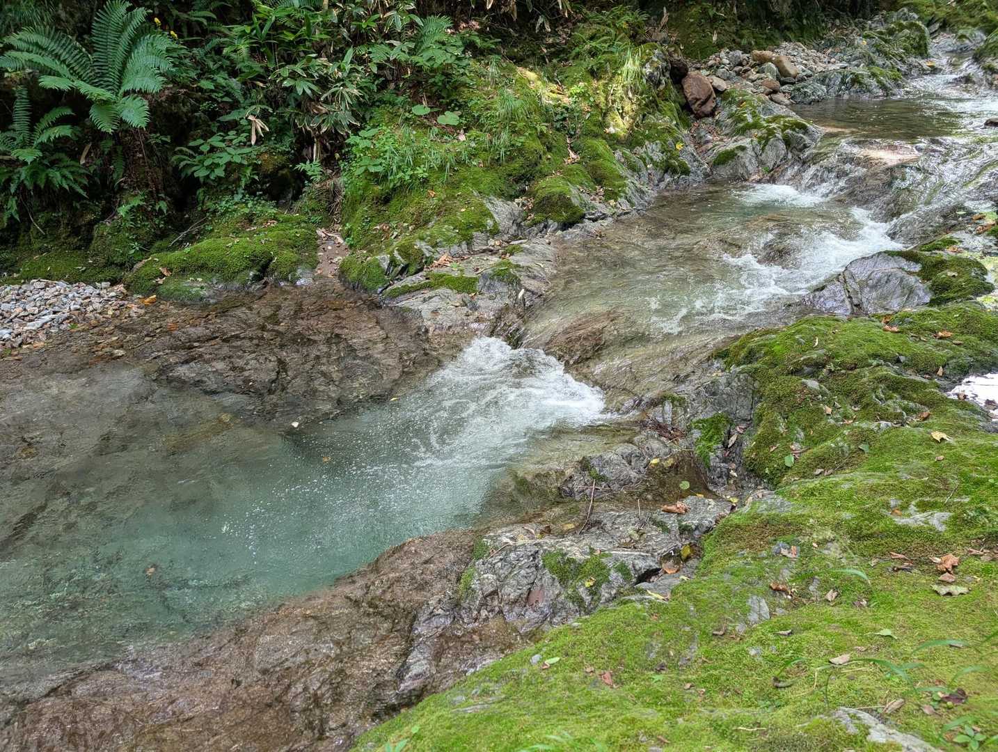 下山は川遊びしながら〜
気持ち良い〜🛟