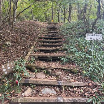 今日も楽しく山歩きできました🙏また来ます😊