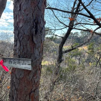 山頂碑の向こうはゴルフ場⛳️です。
ゴルフしてる人🏌️‍♀️🏌️🏌️‍♂️の声がよく聞こえる
