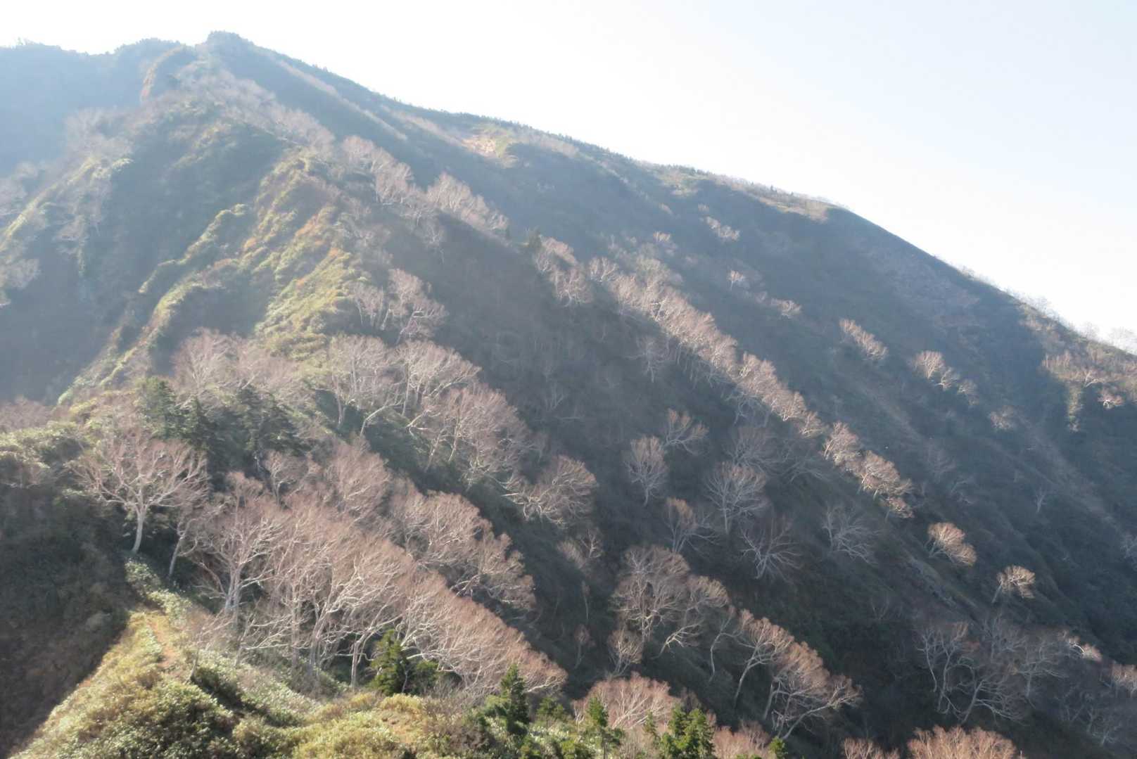 又下り更に登りが見える