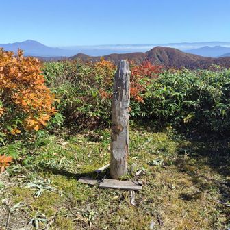 大荒沢岳山頂。