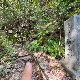 ここから山歩きぽい