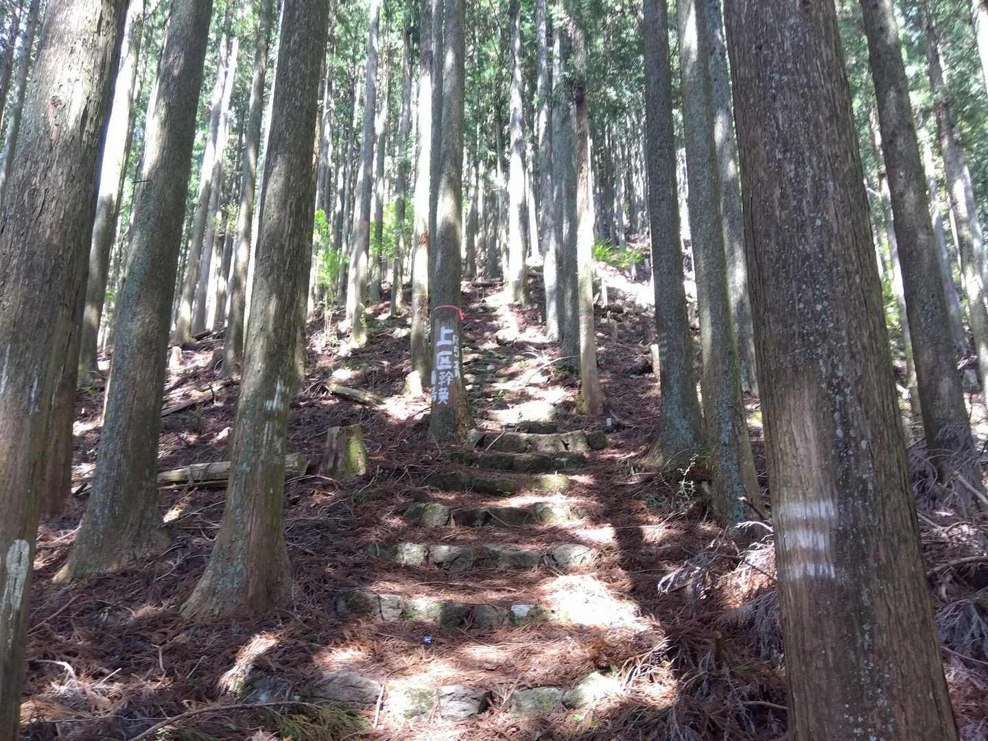三多気バス停-大洞山登山口-大洞山-大洞山-四ノ峰 周回コースの写真
