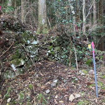 ここから出発です😊
ピンクテープ、案内板、まあまあありました。