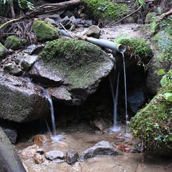 岩屋峠コース、下の水場