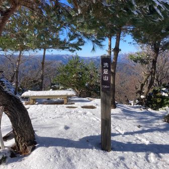 こっちも洗足山山頂。