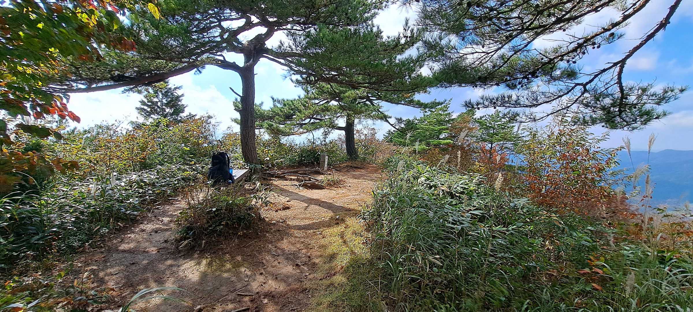玉峰山 往復コースの写真