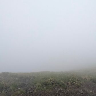 ねっ、まっしろ😶‍🌫️
チックショーッ