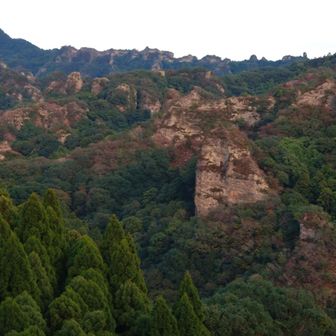 岩岩