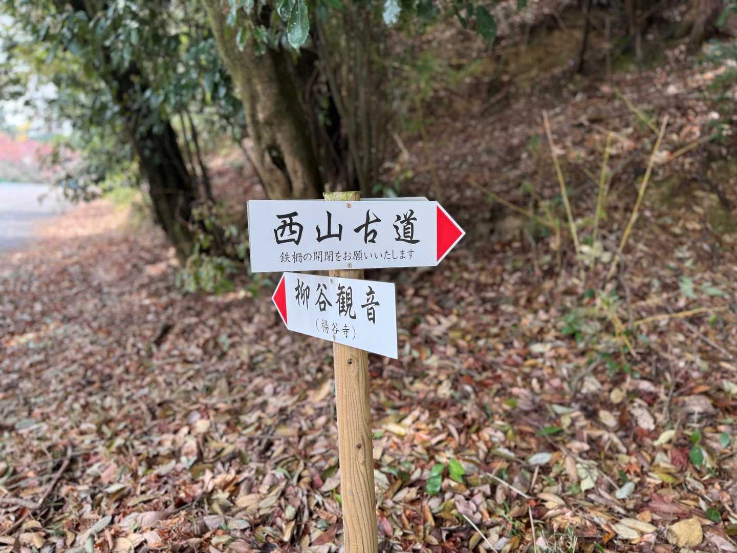 
　　　　　雨も上がったのでスタート！
　　　　　ポンポン山は二度目です
　　　　　昨年は福寿草
　　　　　今年はカタクリの群生地へ
　　　　　晴れるといいな♪