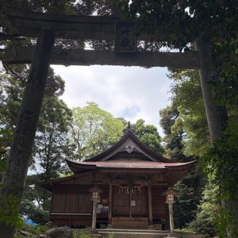 一礼しくぐる