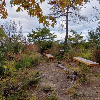 先人ニキの日記でしばしば見かけた「ユビキタスの丘」