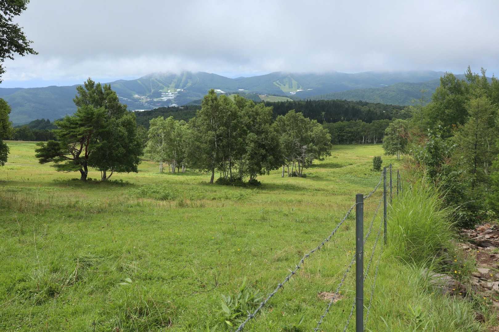 こもれび広場登山口-根子岳 往復コースの写真