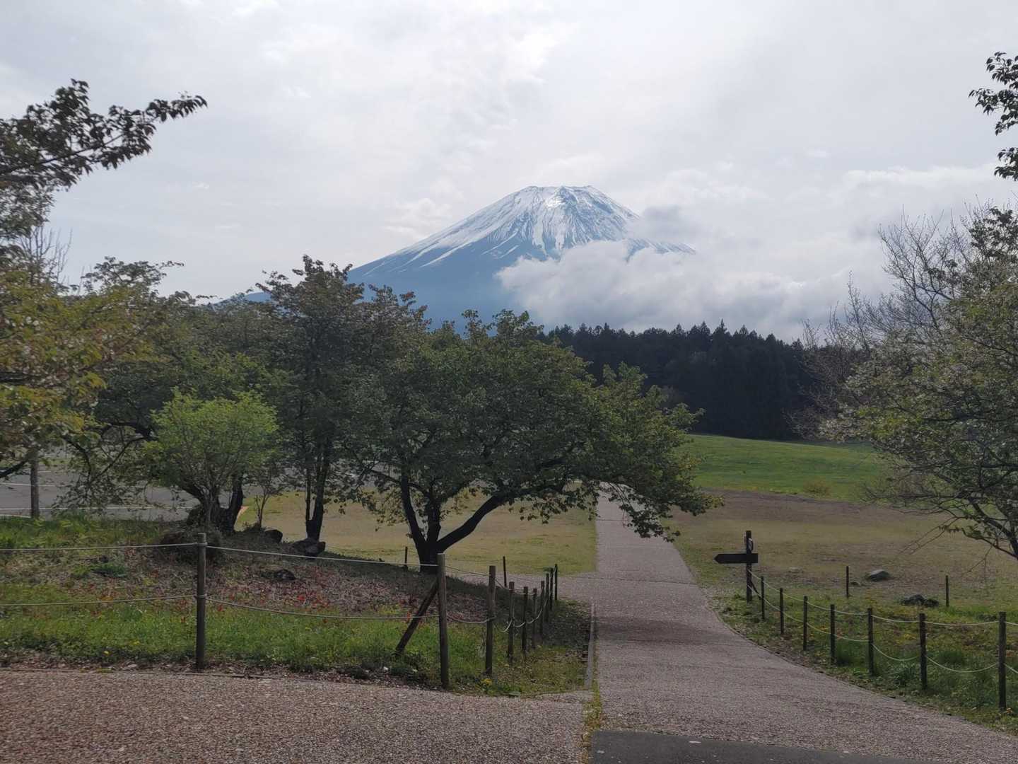 富士山が近い！