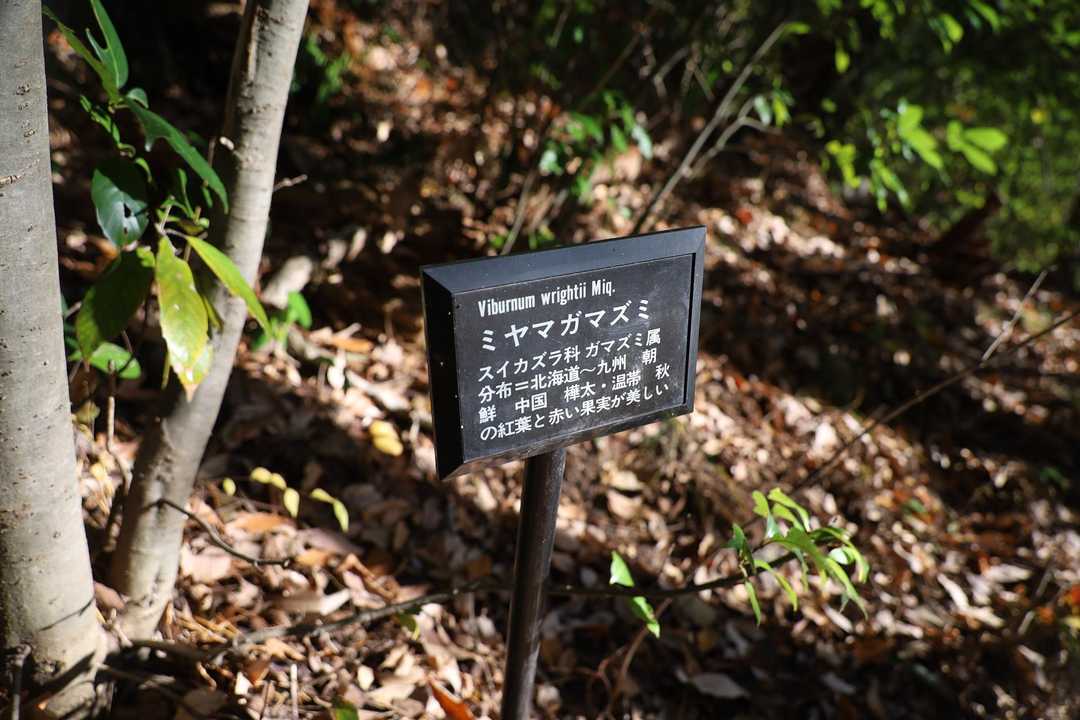 人来る？と思ってしまうぐらい立派な標識