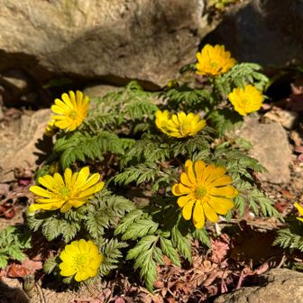 癒してくれてありがとう☺️💕
