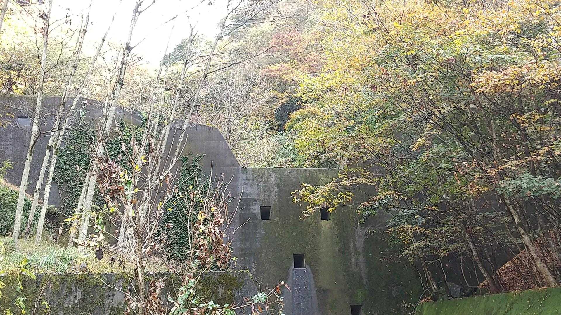 今日もヨダレ(´ρ`)垂らしてますね😦