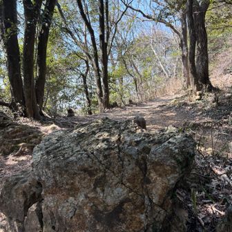 ハイカーさんの往来多いけれど…
コンビニランチ　😋