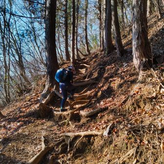 奥の院はまぁまぁの急登