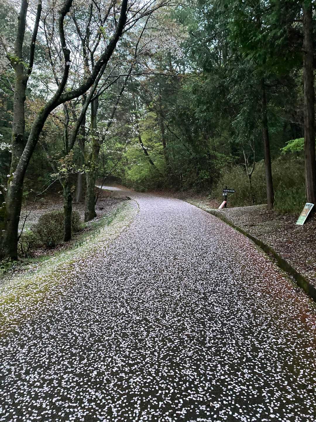 甘南備山 往復コースの写真