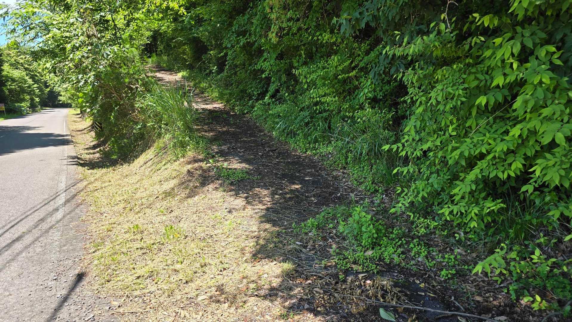 久田見山 往復コースの写真