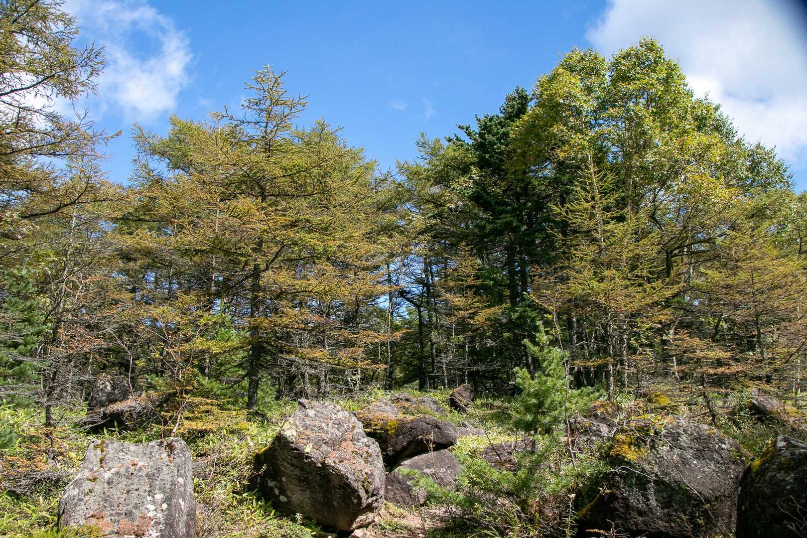 火山特有のエネルギーを感じられる長野・浅間外輪山コースの写真