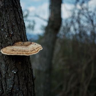 反対の峰では
瀬戸内の眺望を楽しめます😊