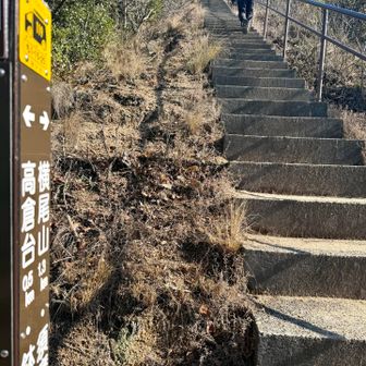 これかぁ💦聞いてた階段😱