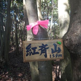 本日4座目の紅斉山に登頂