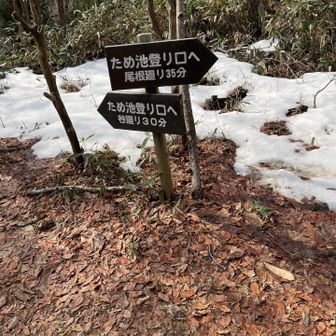 尾根周りで　ため池登山口へ