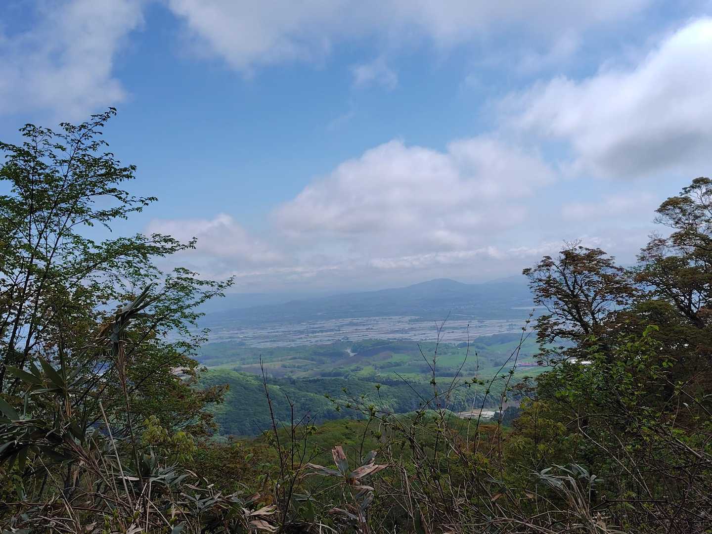 浦臼山 往復コースの写真