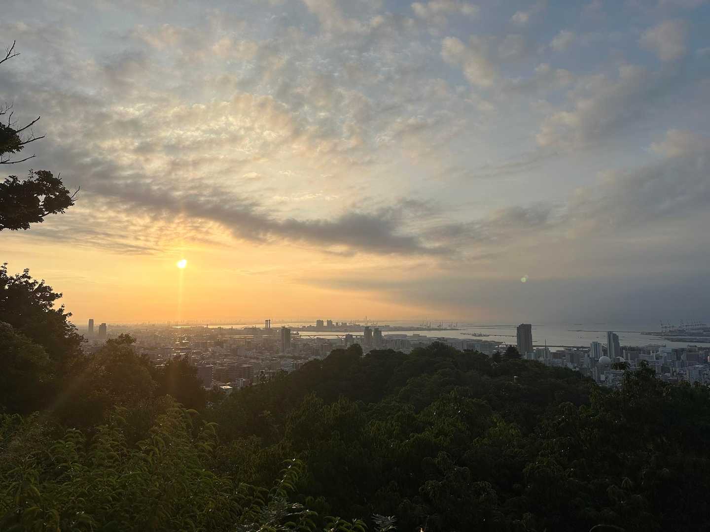 いい朝です☀️
もう汗だくやけど…