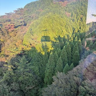 摩耶山⛰️六甲山🏃‍♀️ こんなはずじゃなかった26キロ？ / asaminの