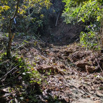十二所果樹園散策路、土砂崩れ、倒木もあり
ショートカットしないと。