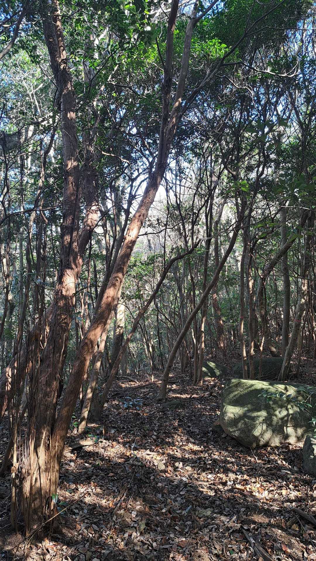 こっちも雰囲気いいなー🫠