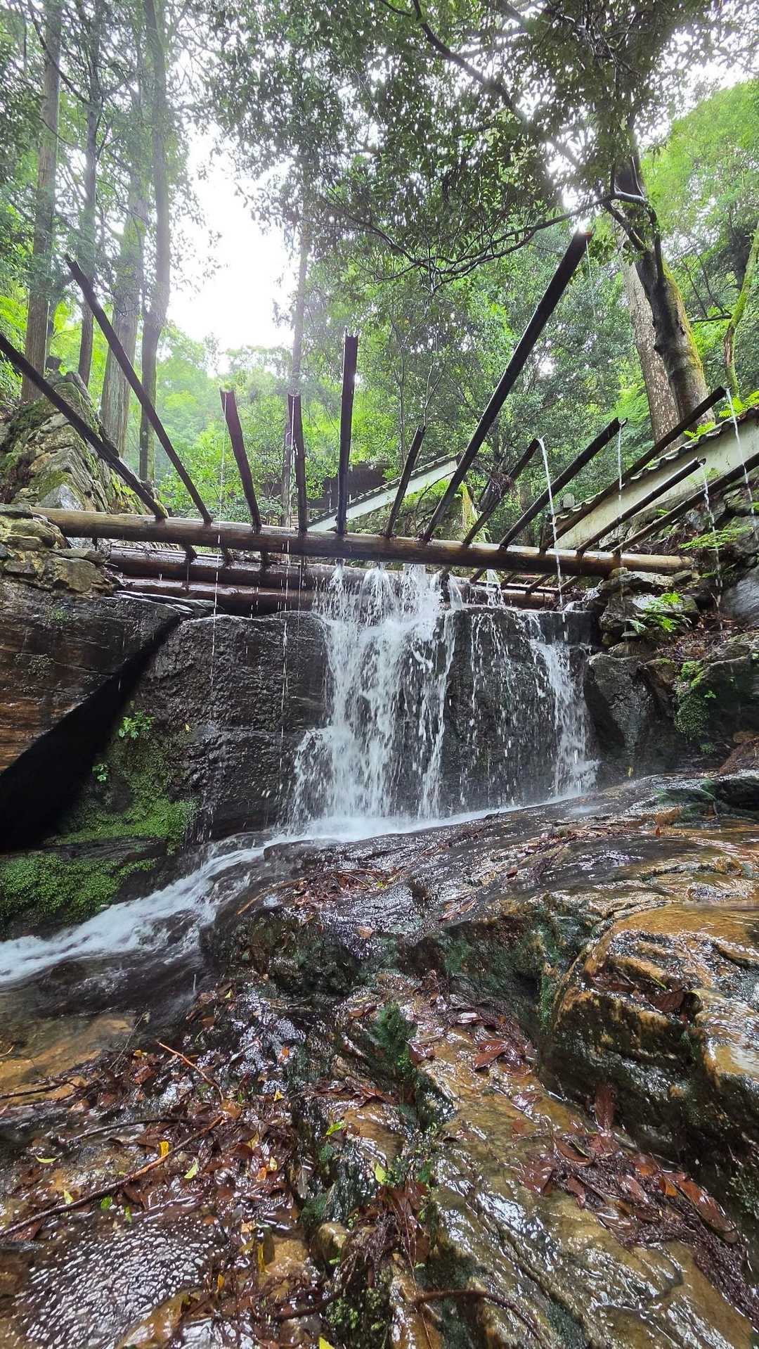 平原の滝✨ 水量が多くさすがに涼しいです♪