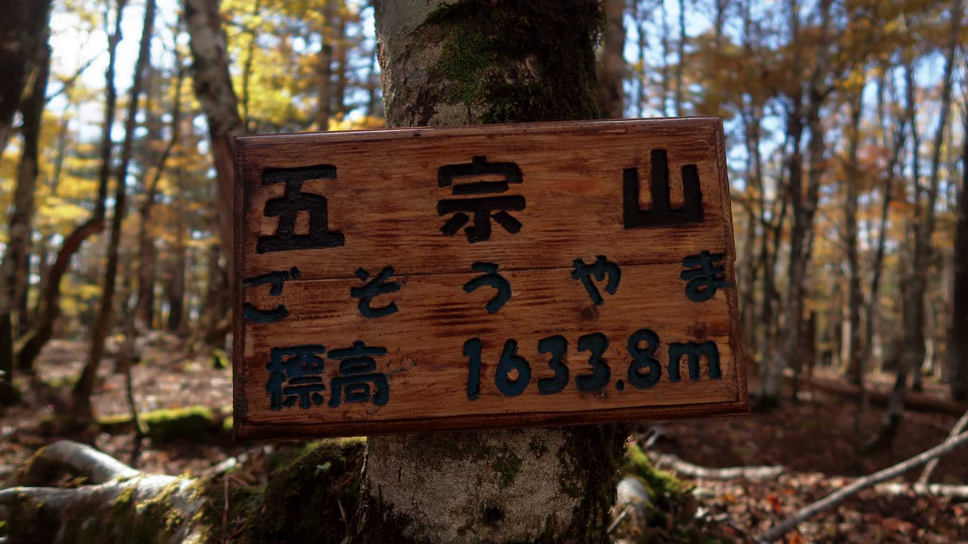 登頂