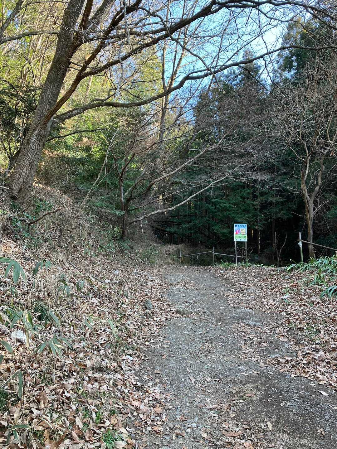 登山口の様子