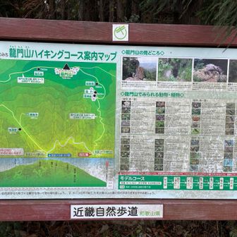 やっと登山口