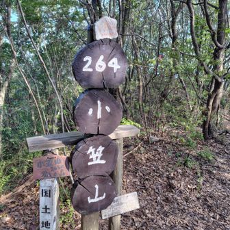 小笠山山頂に到着(*^^*)
初めてお一人とすれ違いました(^.^)
その後は8人程とすれ違いました😊