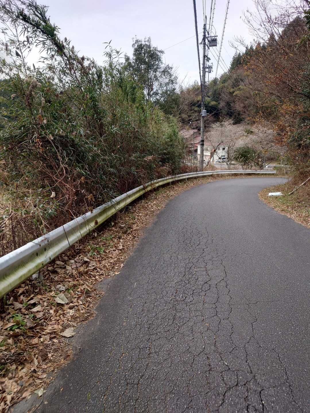 🏃💨💨💨　

いっきに…
下りてきた💦

追いかけて
来なかったな
（笑）😮‍💨🌱

良かった💦