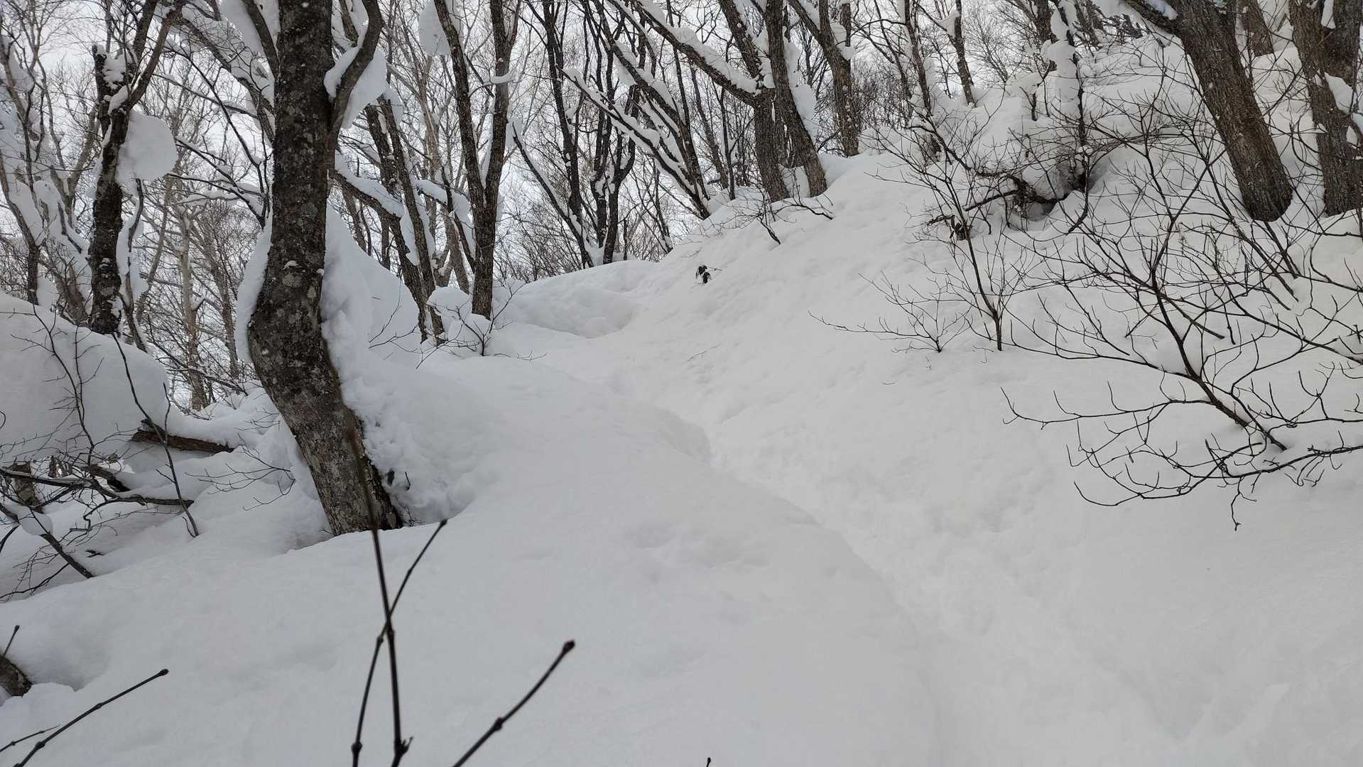 うぐいす坂を登ります！